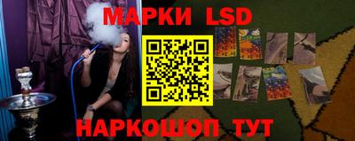 дмт Новокубанск