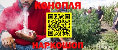 дмт Новокубанск