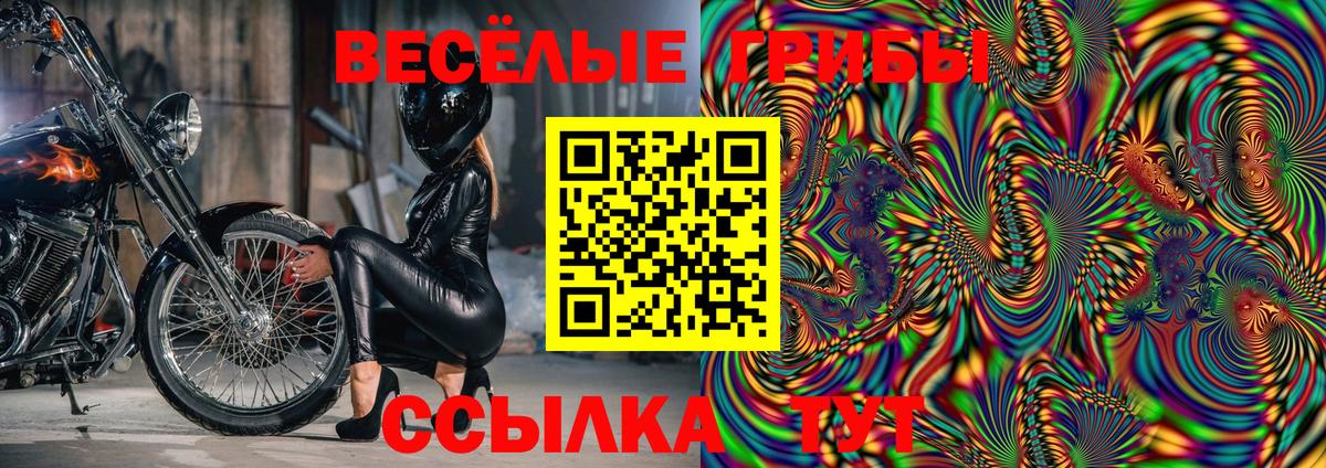Псилоцибиновые грибы Psilocybine cubensis Соликамск