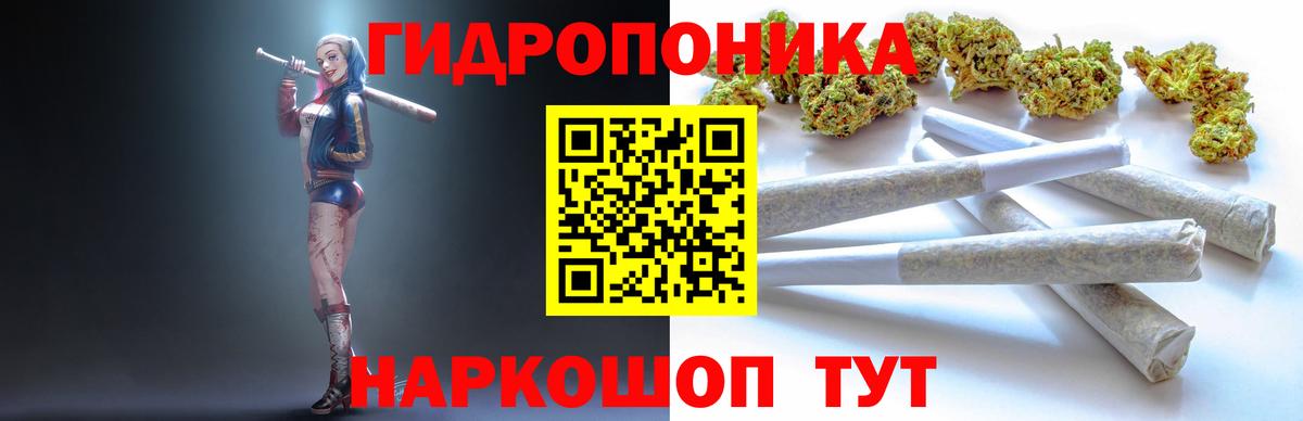Каннабис сатива Соликамск